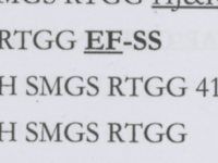 BRIAN ICE BOOK M42 EF64 SS 2