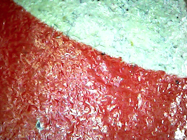 S20200914_048