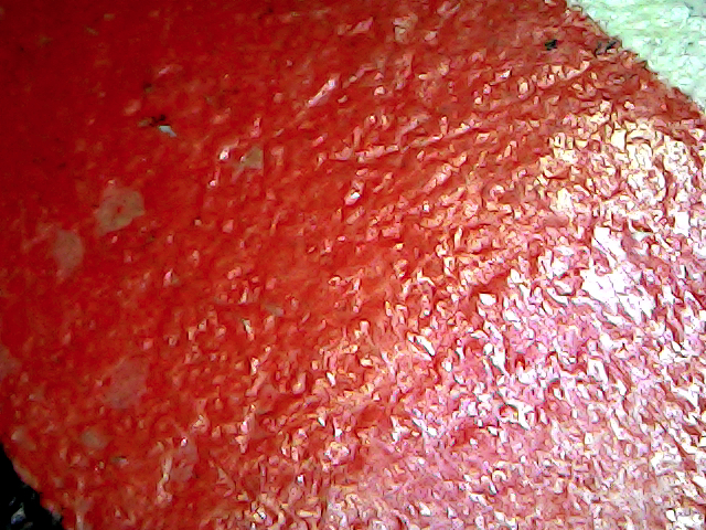 S20200914_049