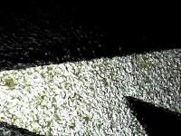 S20200914_027