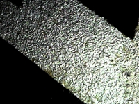 S20200914_029