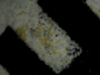 S20200914_041