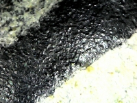 S20200914_044