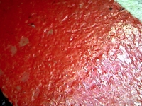 S20200914_049